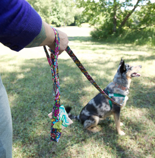 Scout's Best Friend Leash